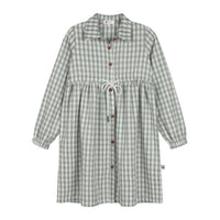 Pockets & Pleats Gingham Dress