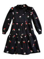Teela Embroidered Dress