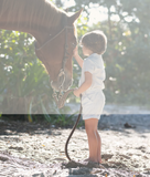 Analogie Meadows Shirt