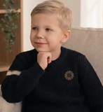 Tiny Too Boys Emblem Sweater