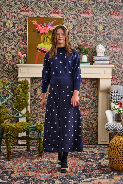 Laurent Fuzzy Dot Set