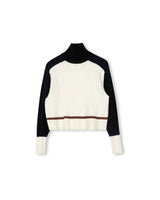 Honest Edit Multi Color Turtleneck