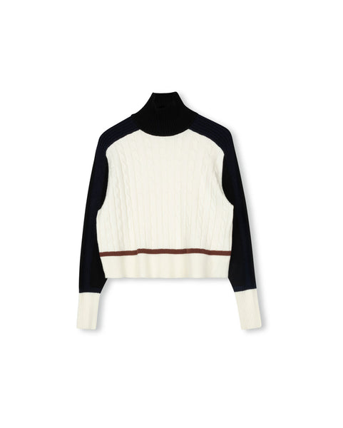 Honest Edit Multi Color Turtleneck