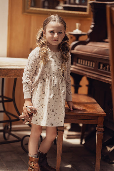 Charlotte & George Lace Collar Dress