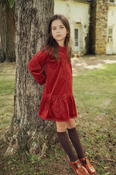 Charlotte & George Velvet Dress