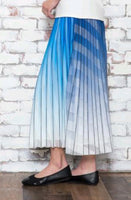 Edera Pleated Net Skirt