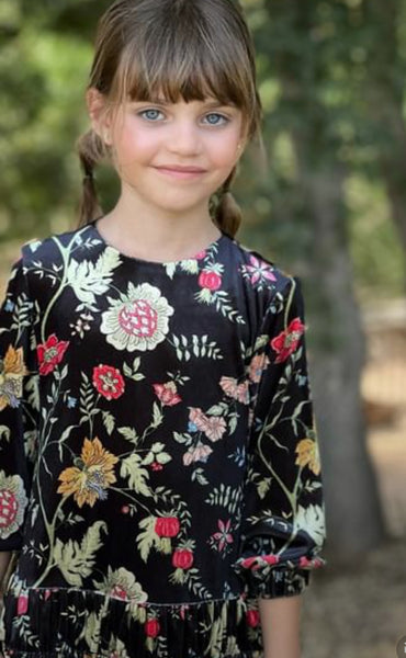 Jouet Velvet Floral Dress