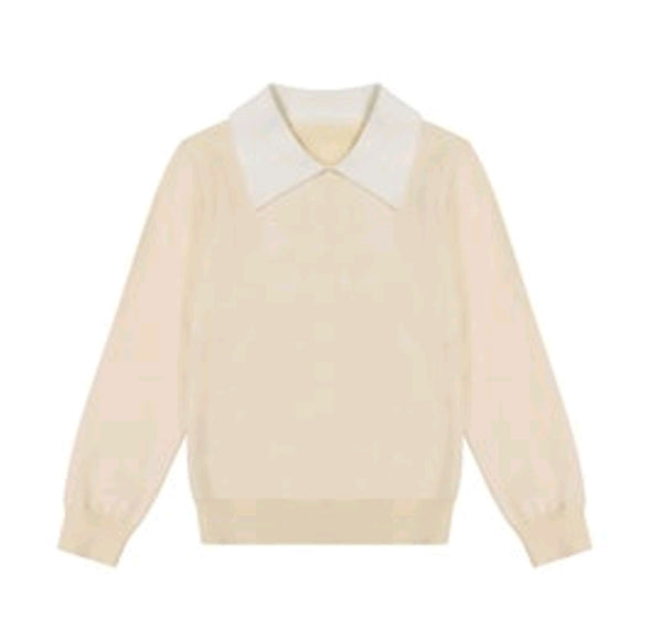 Paisley Collar Sweater